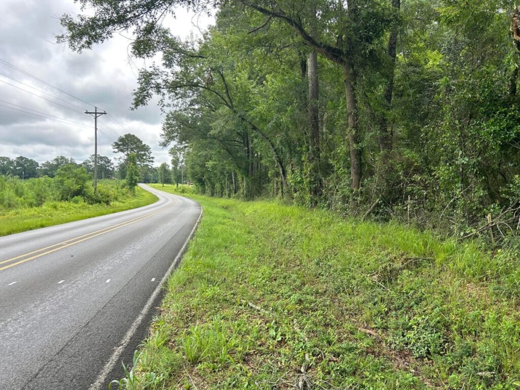 Property photo for land for sale in Jones County Mississippi