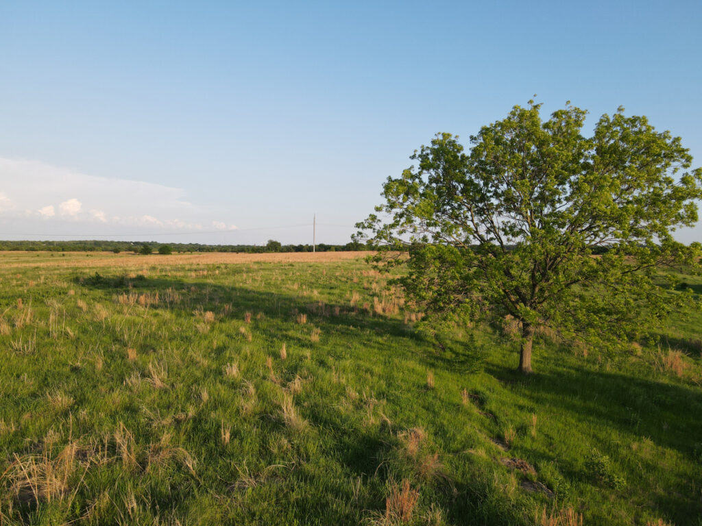 a995fb74-26d1-47fd-8d74-061fd63cb0a3.jpg