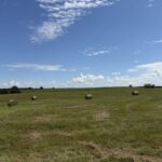 Property photo for land for sale in Daviess County Missouri