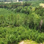 Property photo for land for sale in Coffee County Alabama