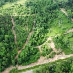 Property photo for land for sale in Smith County Texas