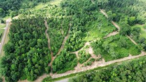 Property photo for land for sale in Smith County Texas