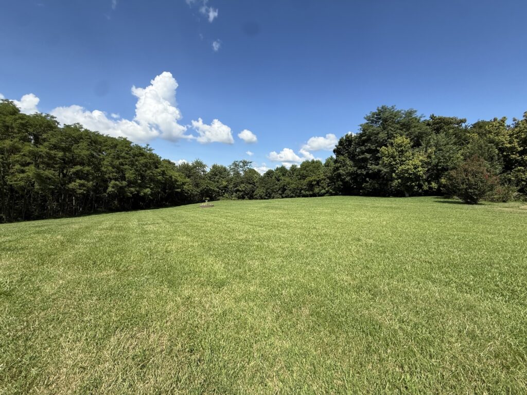 ad10737e-a9b4-4600-b37e-2c07df7ee08d.jpg