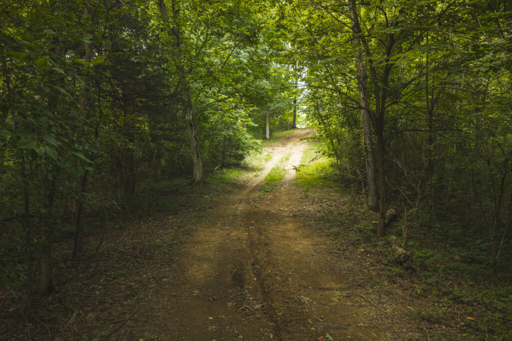 b1798861-2544-4b60-a935-7ab9e7ab6c6f.jpg