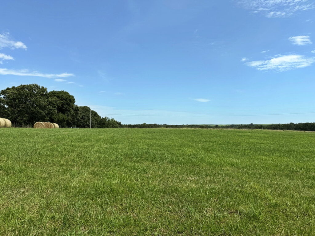 b2755ccf-4bf2-48a1-922f-dd008d2fd451.jpg