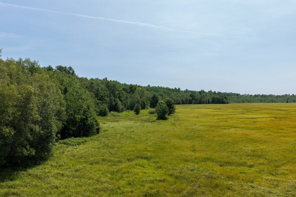 b326d24f-8522-4178-85b9-326faedde8b5.jpg