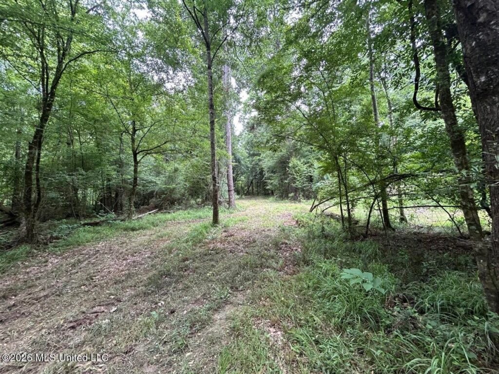 Property photo for land for sale in Amite County Mississippi