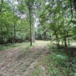 Property photo for land for sale in Amite County Mississippi