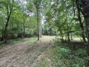 Property photo for land for sale in Amite County Mississippi