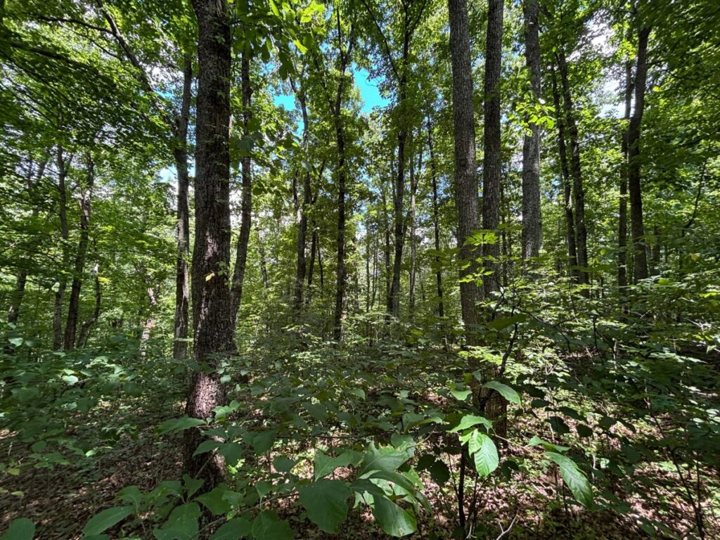 b4533288-570e-408c-b0aa-38476024971d.jpg