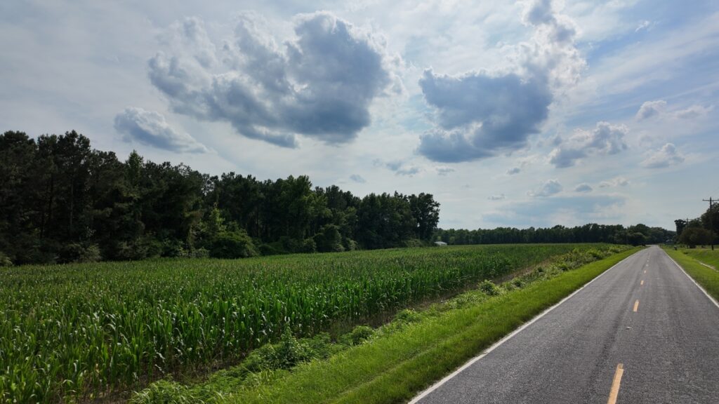 b705c417-4d4f-4d50-b6ba-c8104558531b.jpg