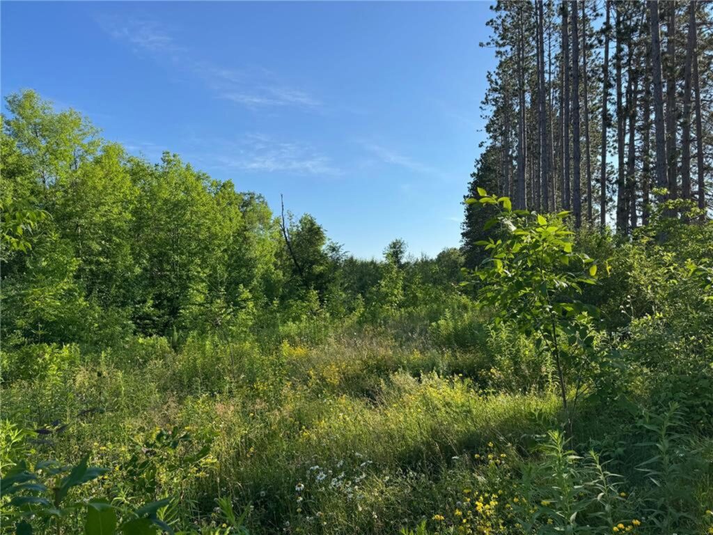Property photo for land for sale in Carlton County Minnesota