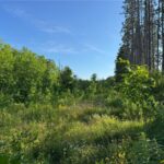 Property photo for land for sale in Carlton County Minnesota