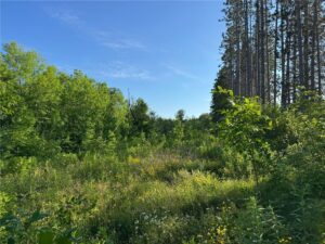 Property photo for land for sale in Carlton County Minnesota