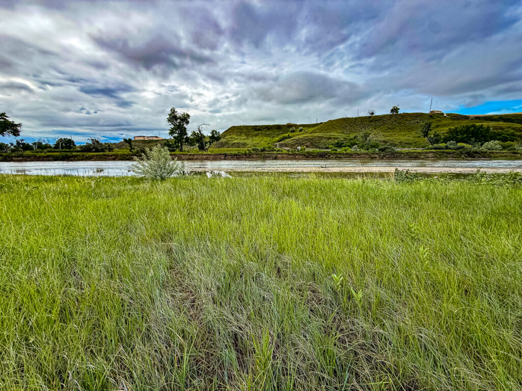 bc0bf301-aa48-4501-ab9a-0801ed55eda1.jpg
