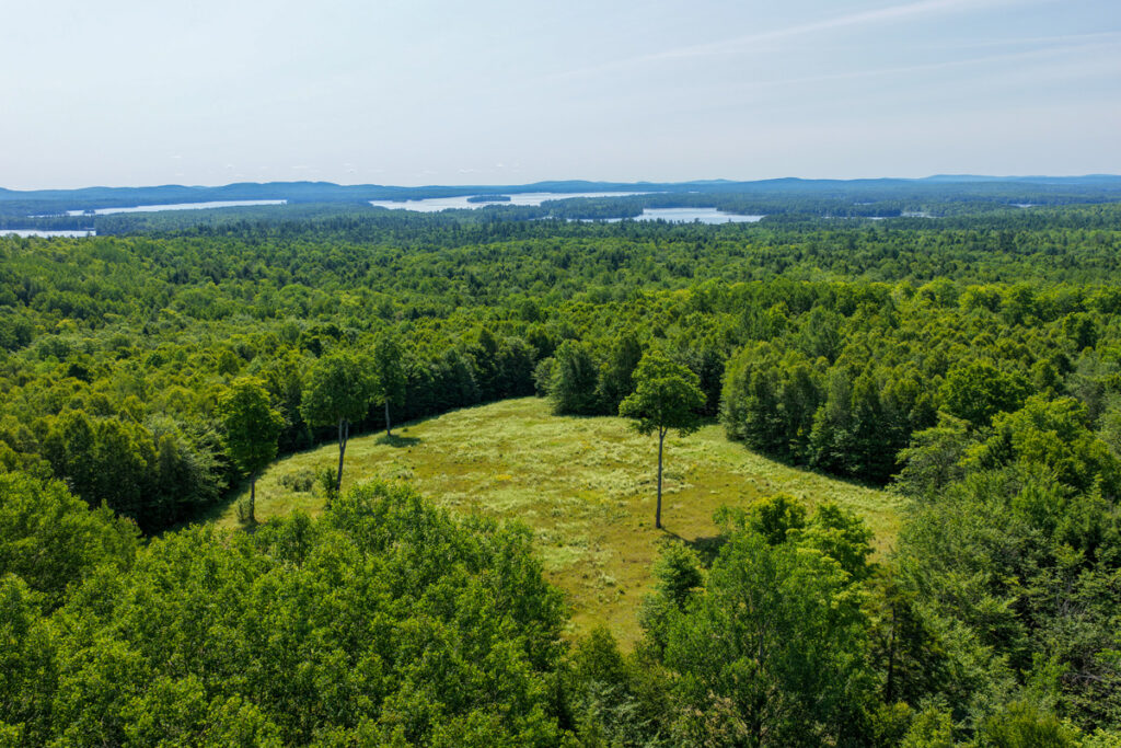 Property photo for land for sale in Penobscot County Maine