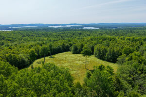 Property photo for land for sale in Penobscot County Maine