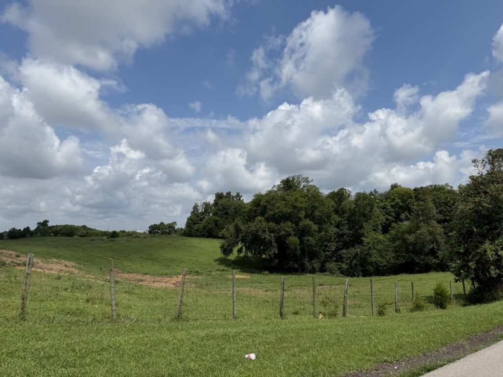 bd054bab-aa98-4382-82c6-7512426cde23.jpg