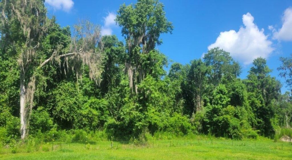 Property photo for land for sale in Suwannee County Florida