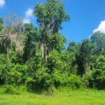 Property photo for land for sale in Suwannee County Florida
