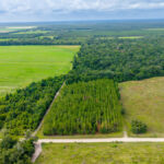 Property photo for land for sale in Suwannee County Florida