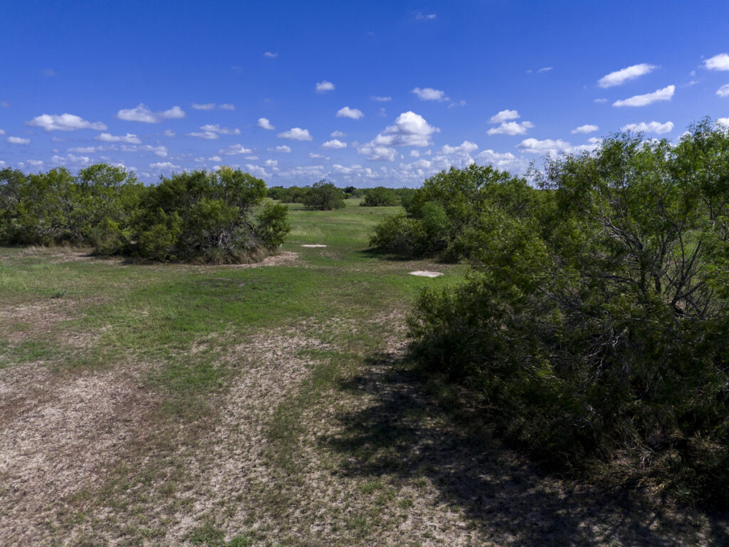 c0384825-6be4-42a3-9f98-7b7bc844ea5b.jpg
