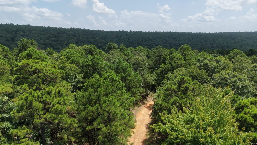 Property photo for land for sale in Latimer County Oklahoma