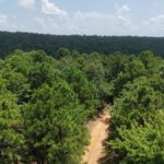 Property photo for land for sale in Latimer County Oklahoma