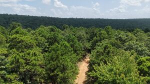 Property photo for land for sale in Latimer County Oklahoma