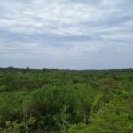 Property photo for land for sale in  County Panama