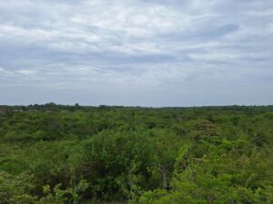 Property photo for land for sale in  County Panama
