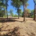 Property photo for land for sale in Onslow County North Carolina