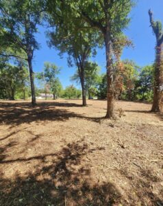 Property photo for land for sale in Onslow County North Carolina
