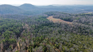 Property photo for land for sale in Izard County Arkansas