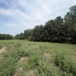 Property photo for land for sale in Caldwell County Missouri