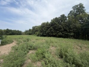 Property photo for land for sale in Caldwell County Missouri