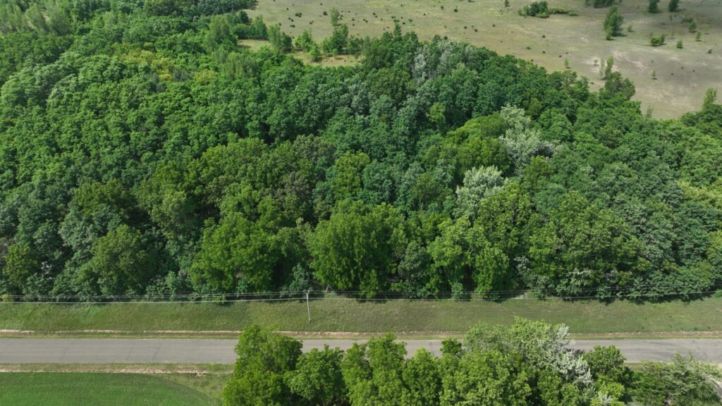 c37096cf-4da5-4525-97c9-e018675fb7be.jpg