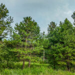 Property photo for land for sale in St. Clair County Missouri