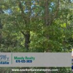 Property photo for land for sale in Fulton County Arkansas