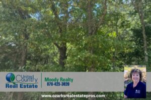 Property photo for land for sale in Fulton County Arkansas