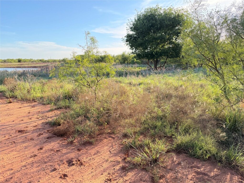 Property photo for land for sale in Hardeman County Texas