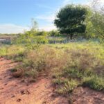 Property photo for land for sale in Hardeman County Texas