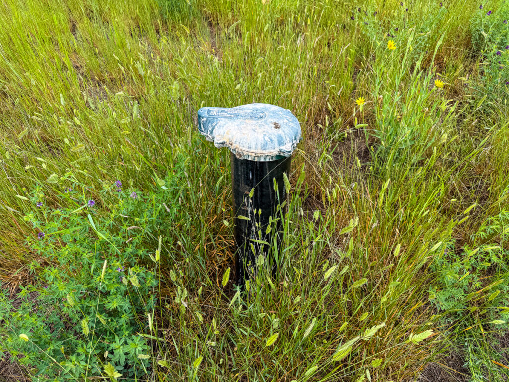 c7971c35-7389-4f03-b553-1f4f85e8ebc6.jpg
