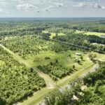 Property photo for land for sale in Geneva County Alabama