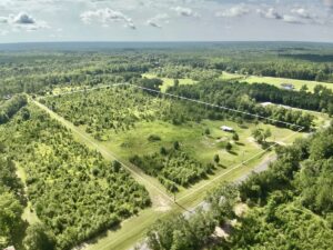 Property photo for land for sale in Geneva County Alabama