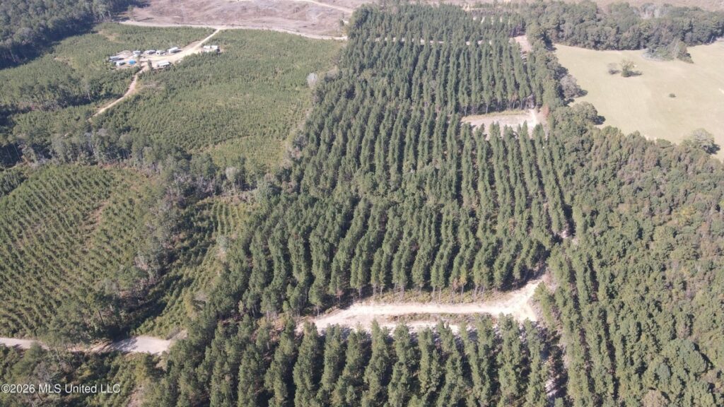 Property photo for land for sale in Rankin County Mississippi