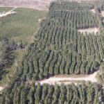 Property photo for land for sale in Rankin County Mississippi
