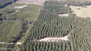 Property photo for land for sale in Rankin County Mississippi