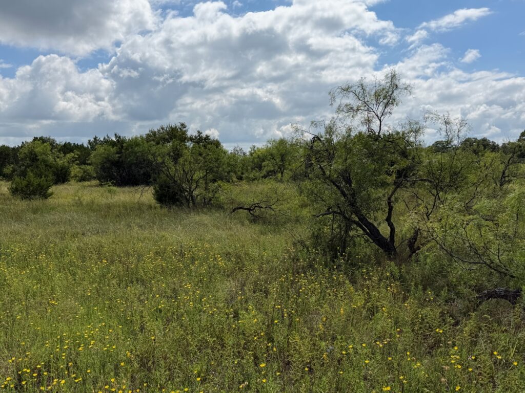 c8f0efb8-229f-411e-860d-60f0f8a1f529.jpg