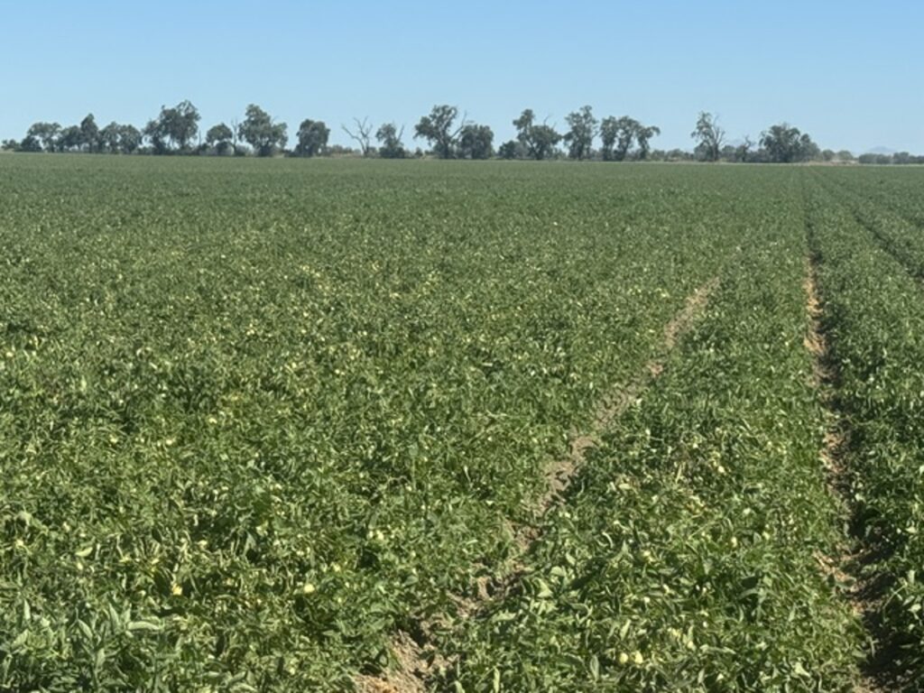 Property photo for land for sale in Yolo County California